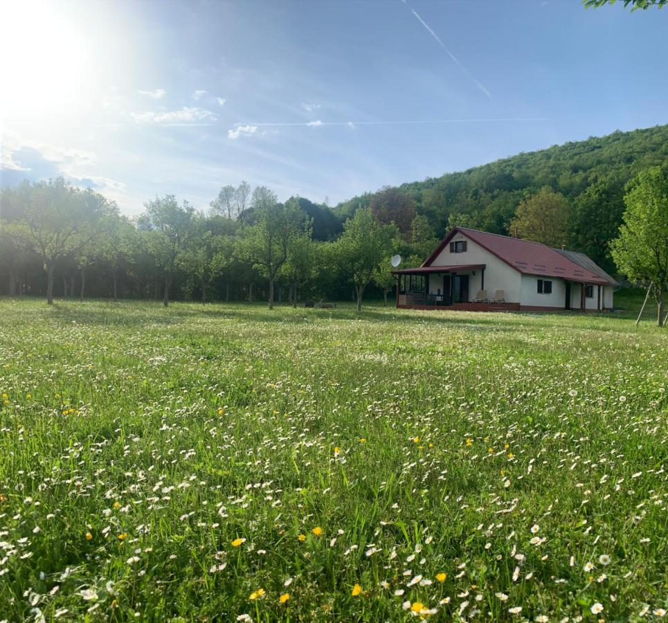 Villa La Prairie Korenica Exterior foto